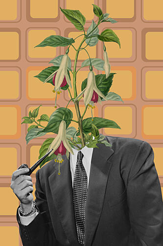 Botanical Gentleman Art Print