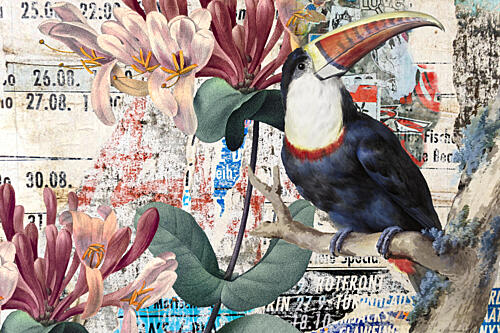 Tropical Toucan Collage Art Print