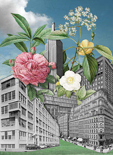 Botanical Cityscape Art Print