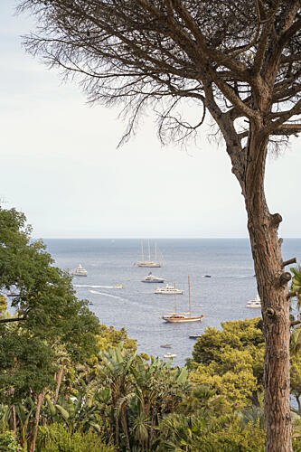 Serene Coastal Yacht View Art Print