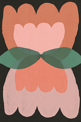 Apricotblossom Art Print