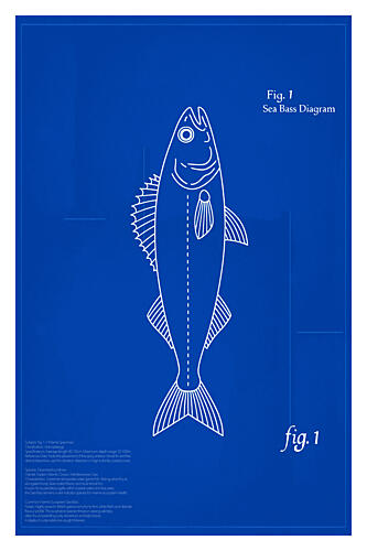 Sea Bass Blueprint Art Print by Cartissi