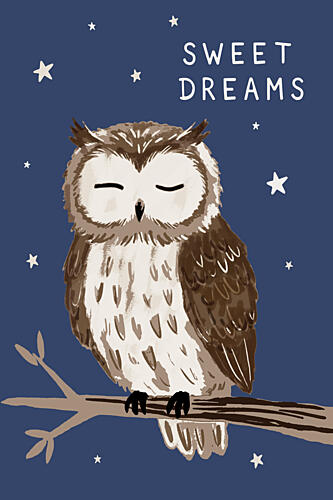 Sweet Dreams Sleeping Owl Art Print
