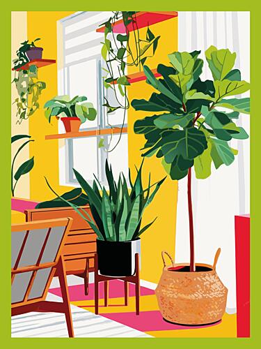 Sunny Indoor Plants Art Print