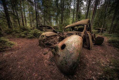 Natures Car Graveyard Art Print