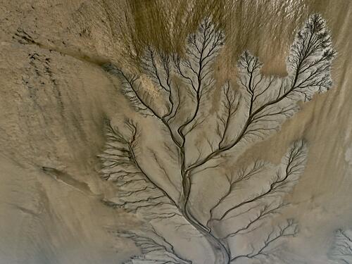 Aerial River Delta Art Print