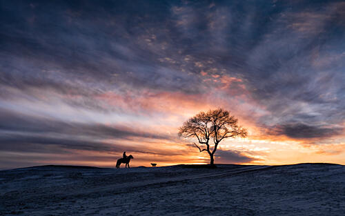 Winter Sunset Horse Ride Art Print by Songlin Xu