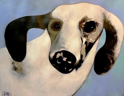 Dreamy Canine Portrait Art Print