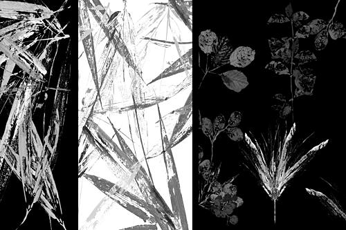 Botanical Brushstroke Forms Art Print by cartissi