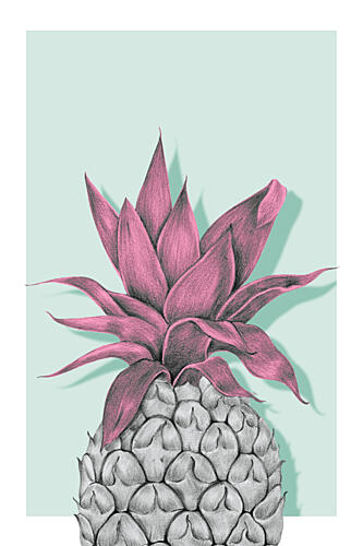 Tropical Pink Pineapple Art Print