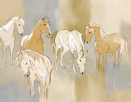 Graceful Horse Herd Art Print