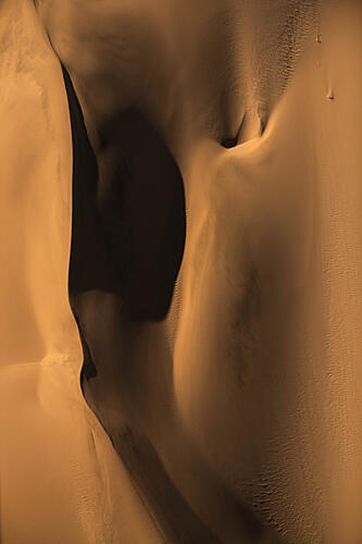 Golden Desert Forms Gold Print