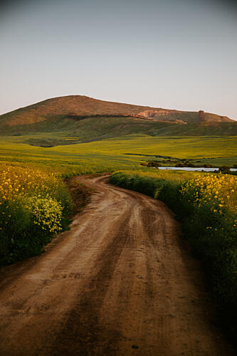 Winding Country Road Art Print by Megan Shone
