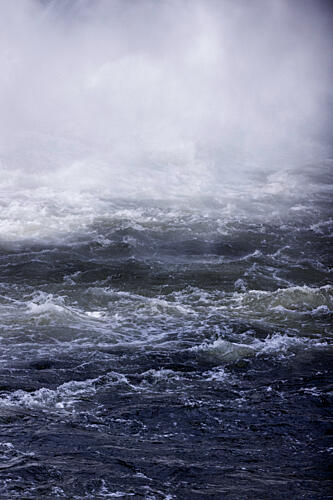In the Storm 1 Art Print