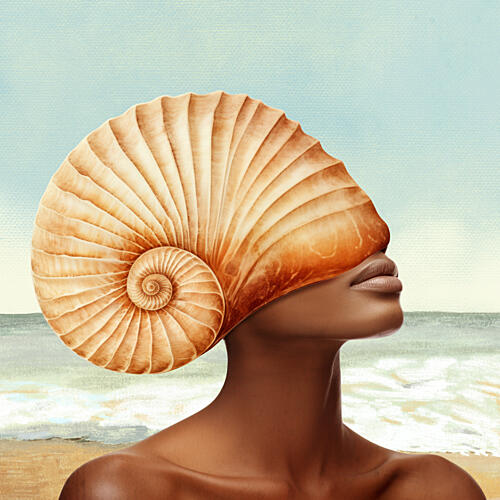Coastal Shell Beauty Art Print