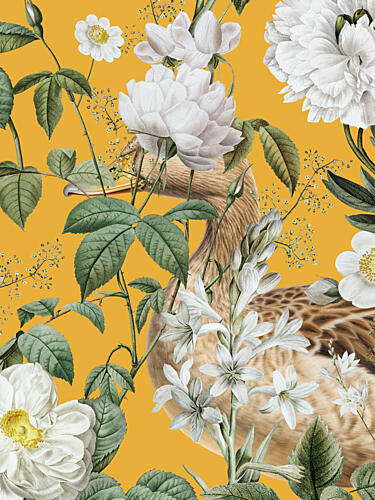 Elegant Bird Flowers Art Print