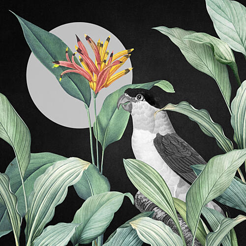 Moonlit Jungle Parrot Art Print