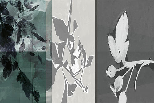 Serene Botanical Forms Art Print by Cartissi