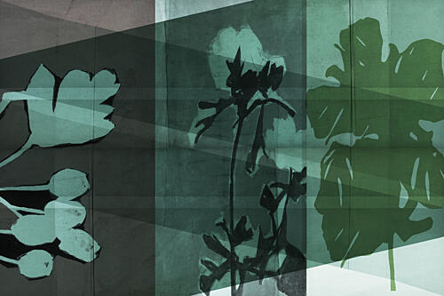 Layered Botanical Shadows Art Print by Cartissi