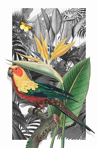 Vibrant Jungle Parrot Art Print