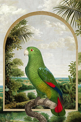 Green Parrot Jungle View Art Print