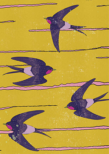 Vibrant Swallows in Flight Art Print