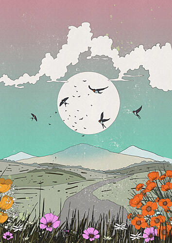 Swallows over Mountain Road Art Print