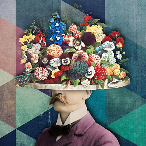 Gentleman Flower Head Art Print