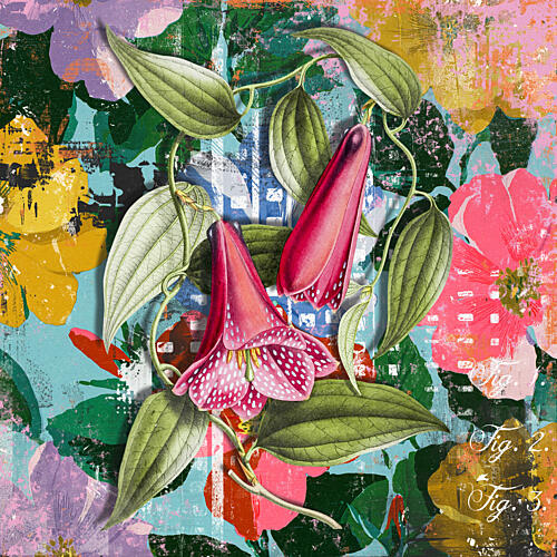 Colourful Nature Art Print