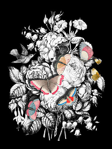 Elegant Floral Butterflies Art Print