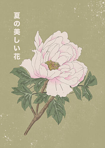 Elegant Summer Peony Art Print