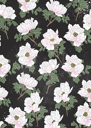 Graceful Pink Peonies Art Print
