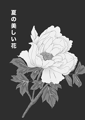 Elegant Japanese Peony Art Print