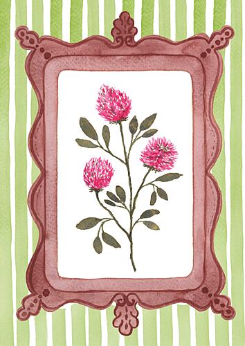 Clover Bloom Frame Art Print