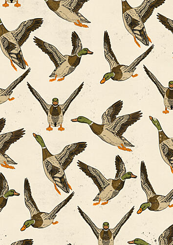 Vintage Flying Ducks Art Print