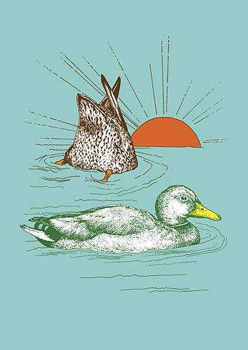 Ducks in Peaceful Water Art Print
