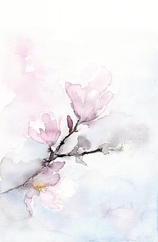 Soft Magnolia Blooms Art Print