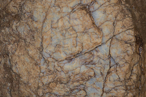 Earthy Stone Pattern Art Print by Studio Meikle