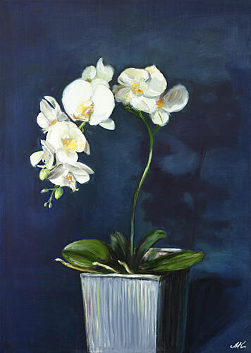 Elegant White Orchids Art Print