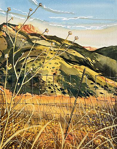 Southwest Hills and Fence Gold Print