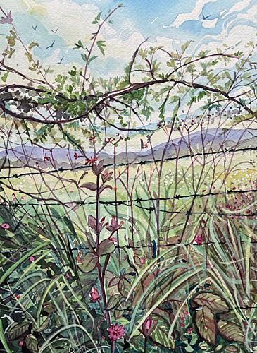 Wild Meadow Fence Art Print