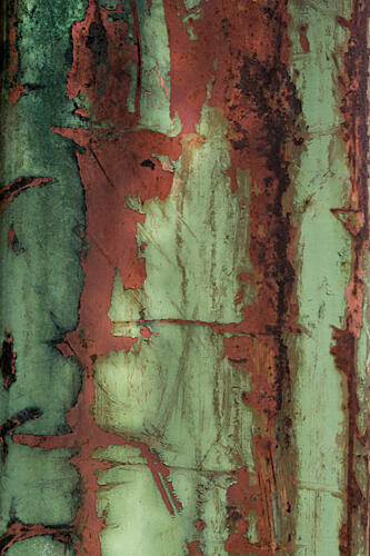 Rusty Green Texture Art Print by Studio Meikle