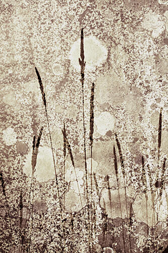 Textured Wild Grass Art Print