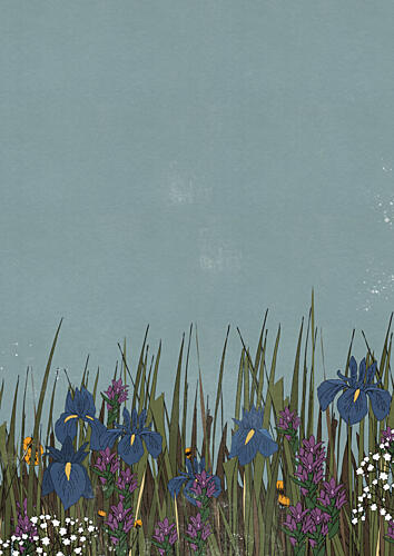Wild Iris Meadow Art Print