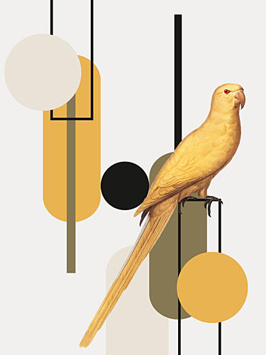 Golden Parrot Shapes Gold Print