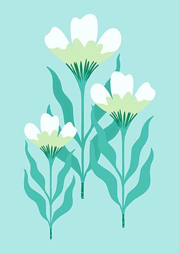 White Poppy Bouquet Pop art reproduction