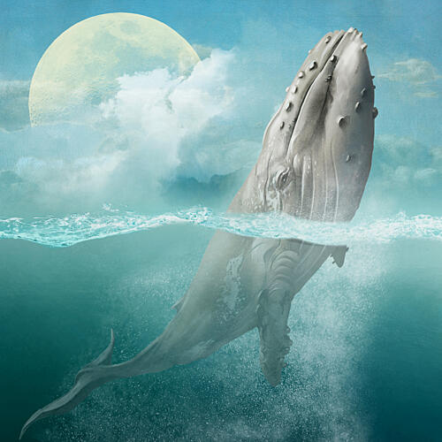 Dreamy Whale Moonlight Art Print