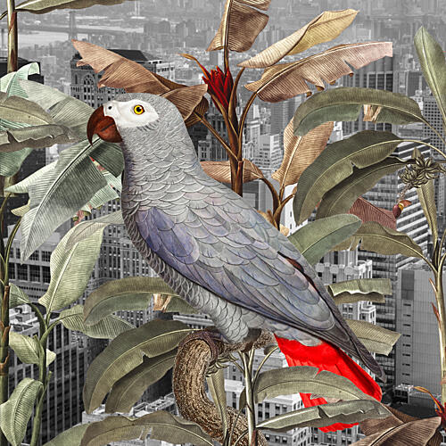 Urban Jungle Parrot Art Print