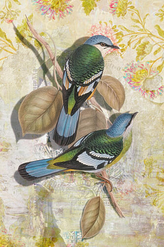 Whimsical Tropical Birds Art Print