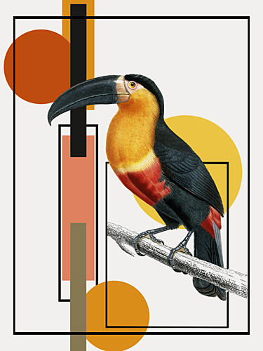 Geometric Toucan Art Art Print